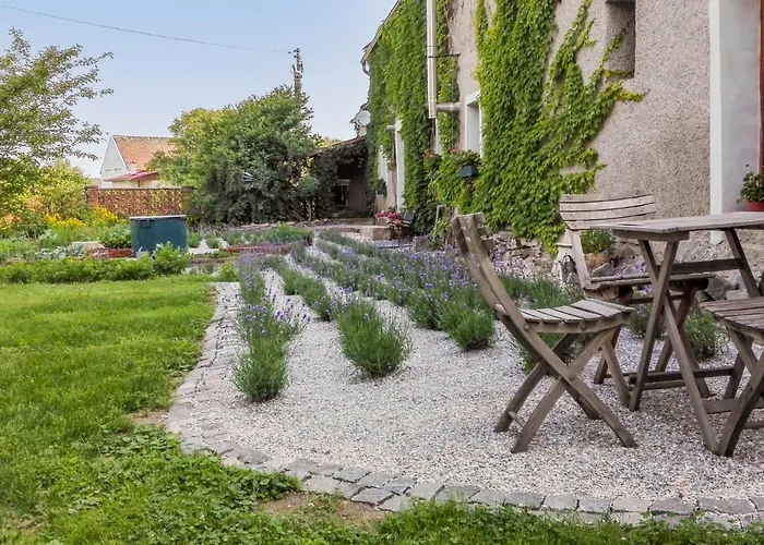 Apartment Zabreh-lukavice 2 By Interhome
